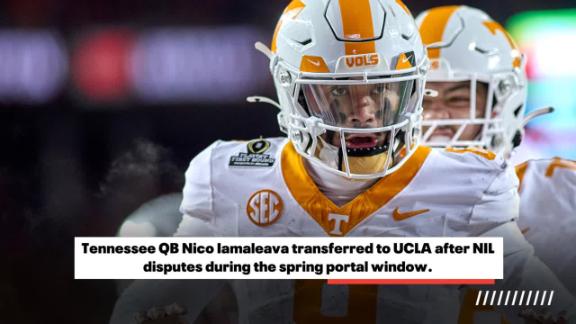 eliminate spring transfer window